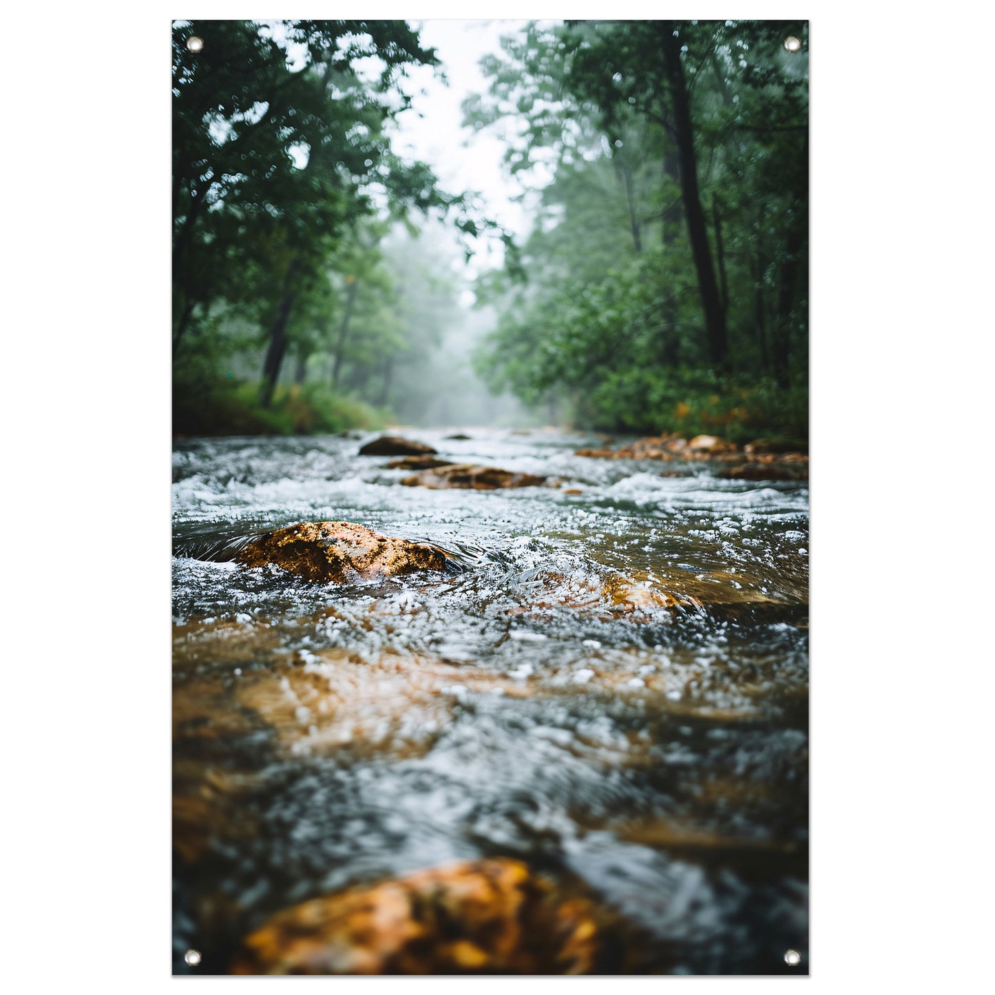 Monochrome foto van kabbelende rivier in bos tuinposter