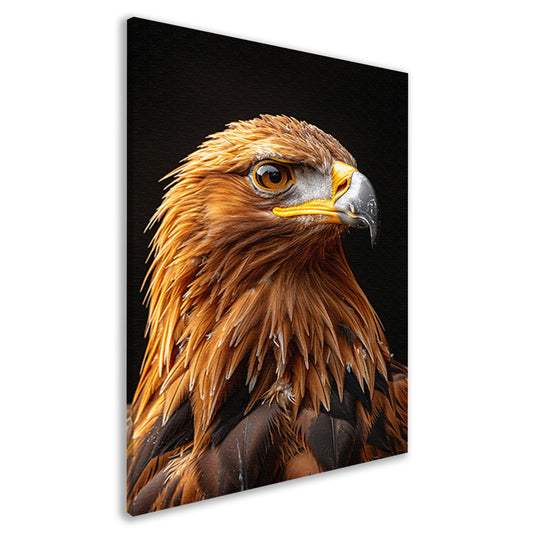 Portret van een Adelaar met Indringende Blik canvas