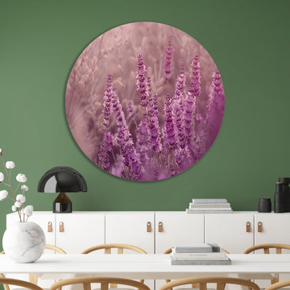 Sereen lavendelveld in zachte pasteltinten aluminium muurcirkel
