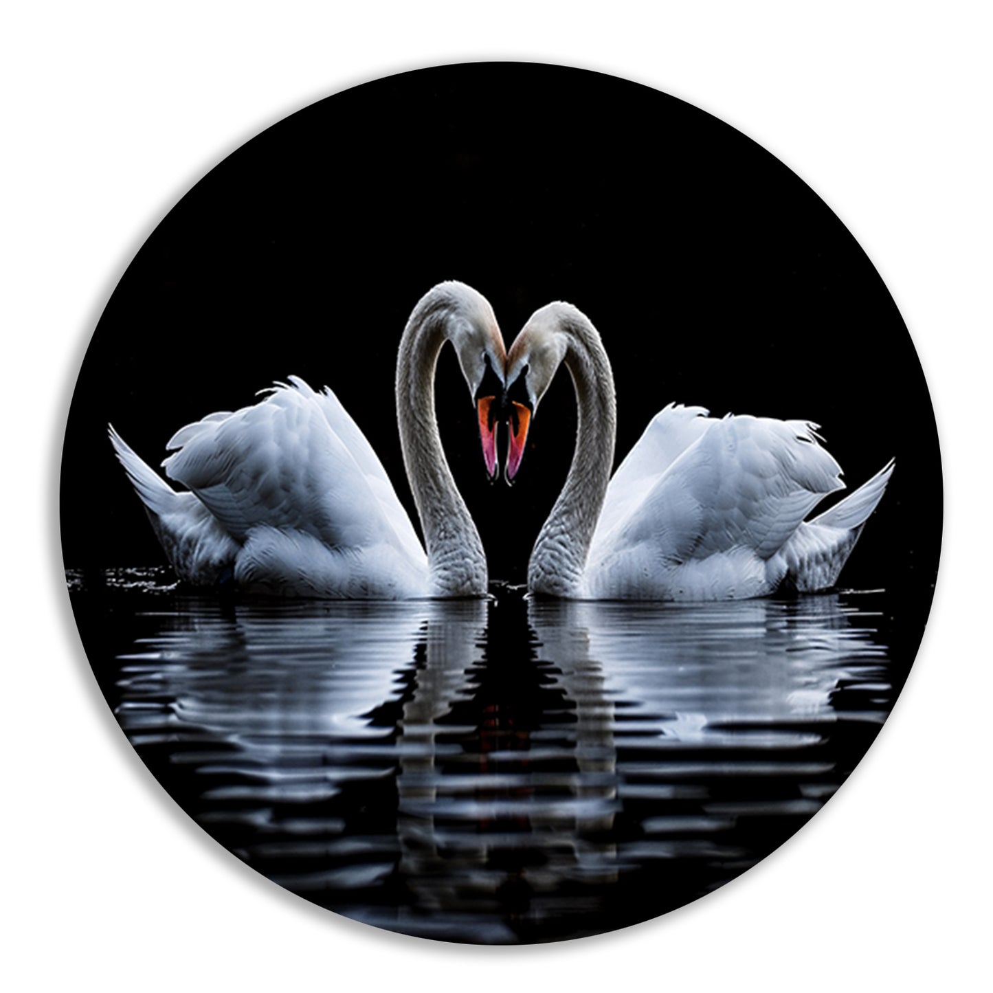 Twee zwanen vormen een hart aluminium muurcirkel