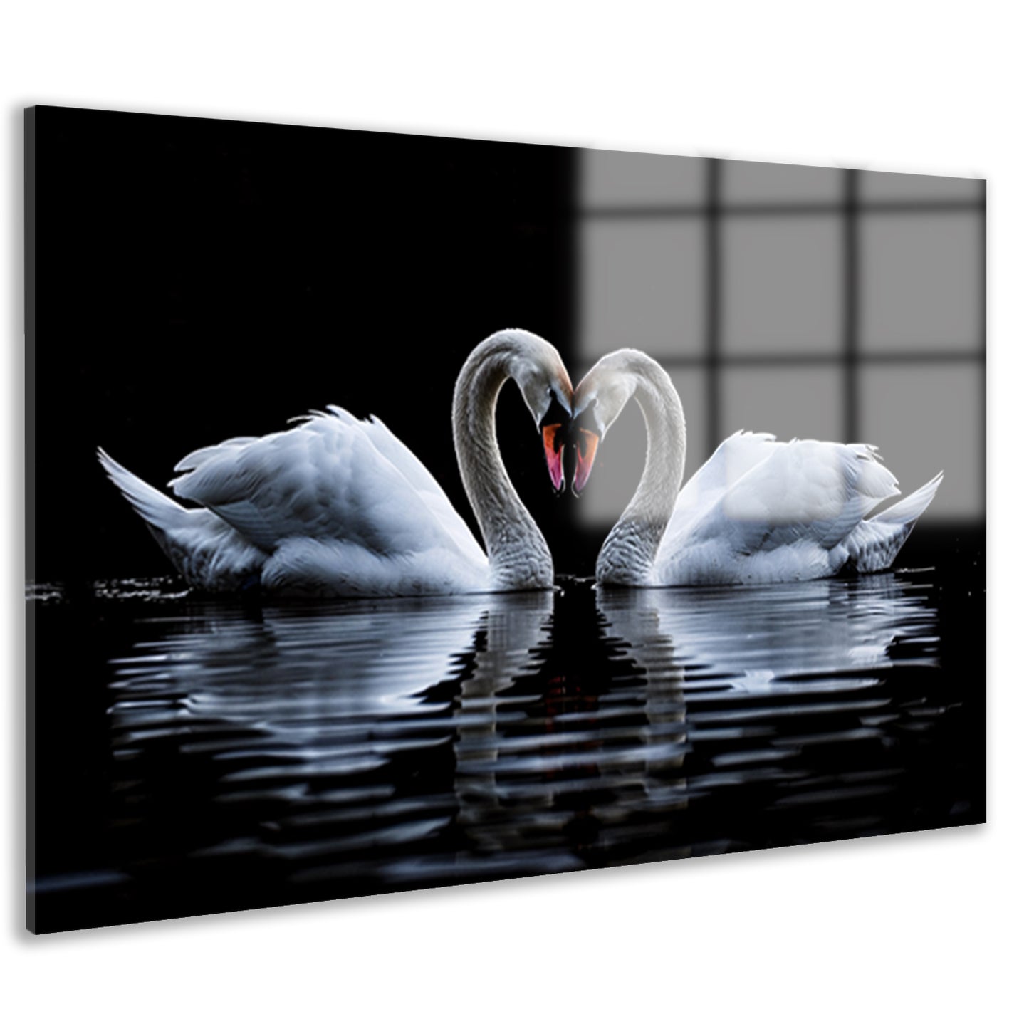 Twee zwanen vormen een hart acrylglas