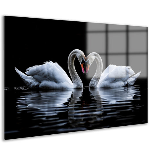 Twee zwanen vormen een hart acrylglas