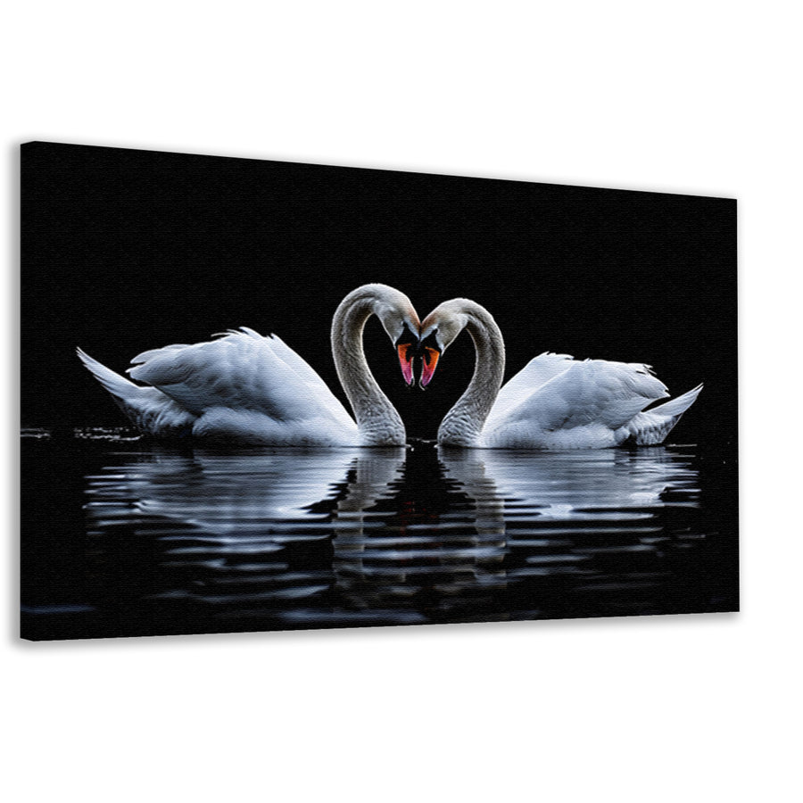 Twee zwanen vormen een hart canvas
