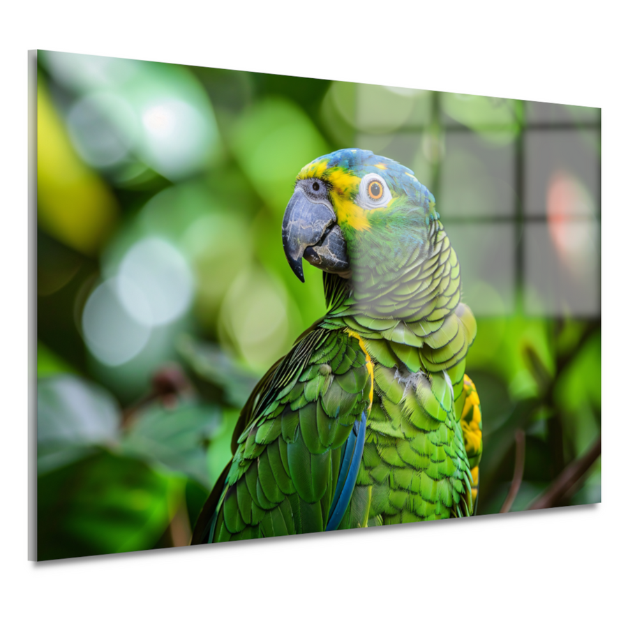 Betoverende blik van een kleurrijke papegaai acrylglas