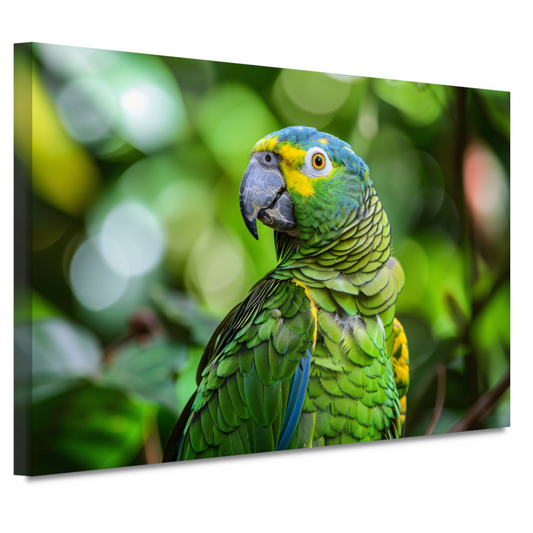 Betoverende blik van een kleurrijke papegaai canvas
