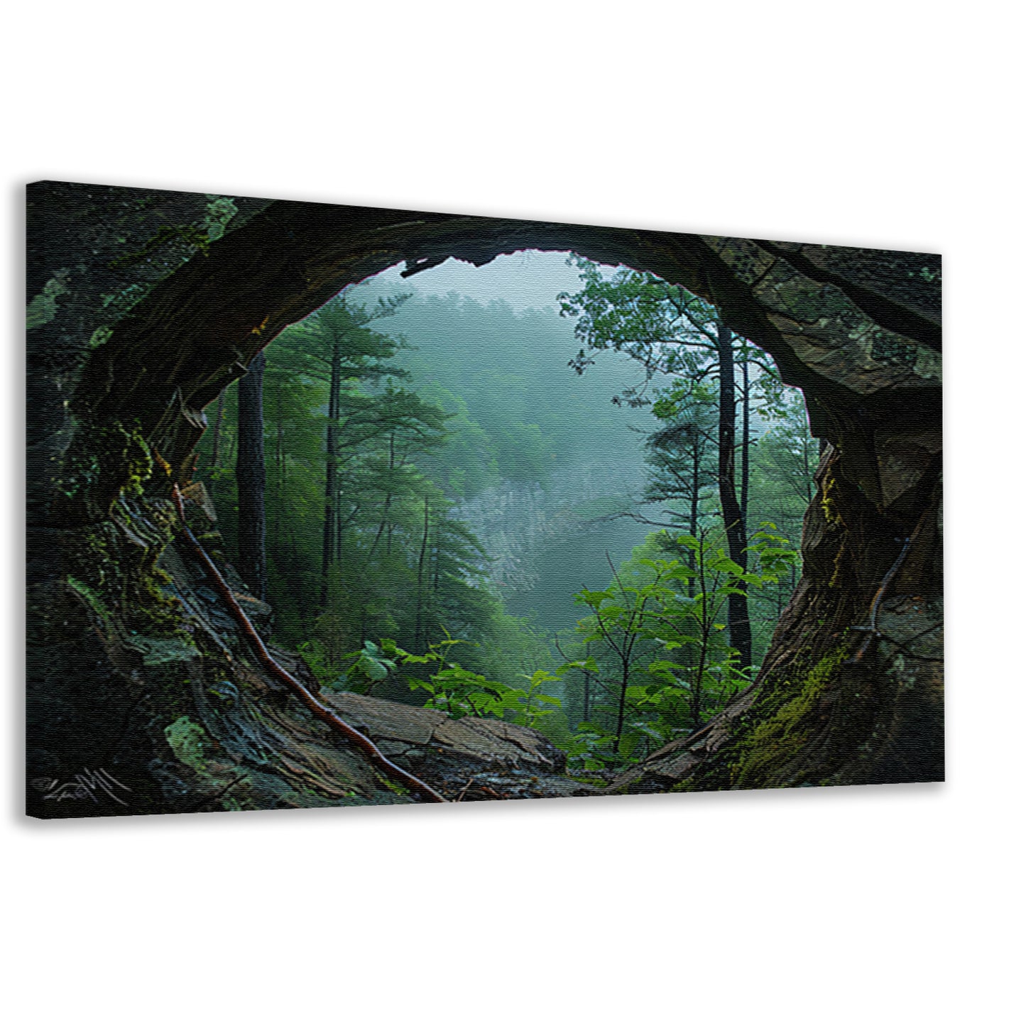 Rotsuitkijk Over Mistig Bos canvas