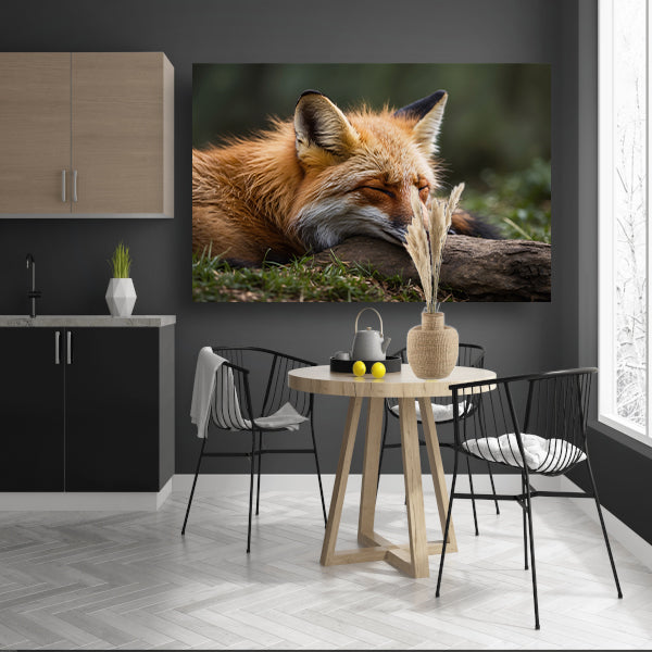 Slapende vos in groen grasveld poster