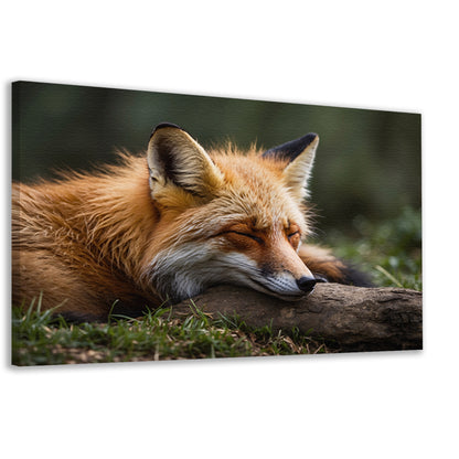 Slapende vos in groen grasveld canvas