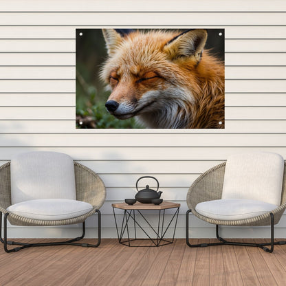Slapende vos in de natuur vastgelegd tuinposter
