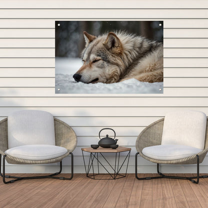 Slapende wolf in een besneeuwd landschap tuinposter