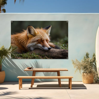 Slapende vos in groen grasveld tuinposter