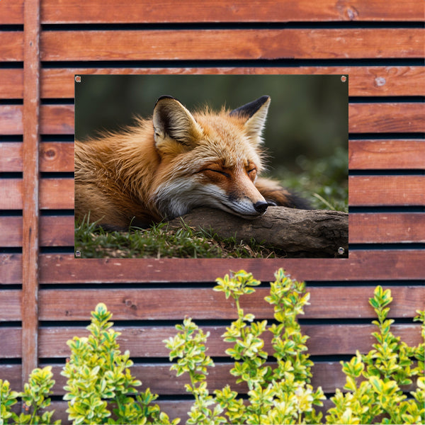 Slapende vos in groen grasveld tuinposter
