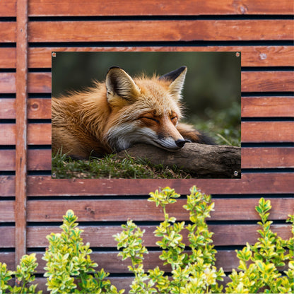 Slapende vos in groen grasveld tuinposter