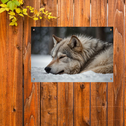Slapende wolf in een besneeuwd landschap tuinposter