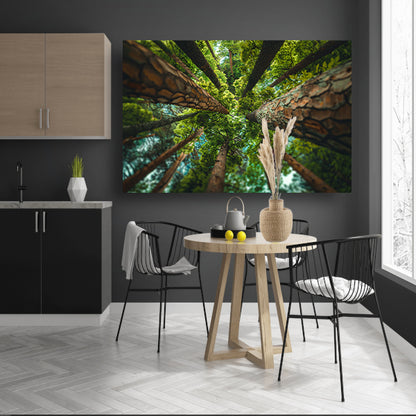 Hoog perspectief op bomen in weelderig bosposter