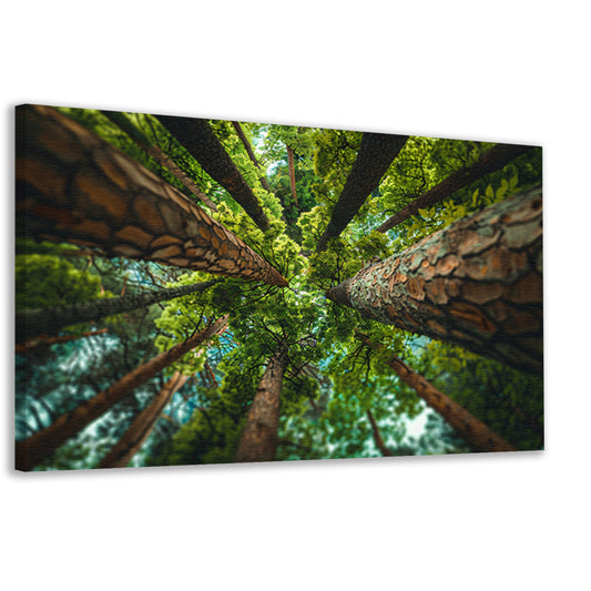 Hoog perspectief op bomen in weelderig bos canvas