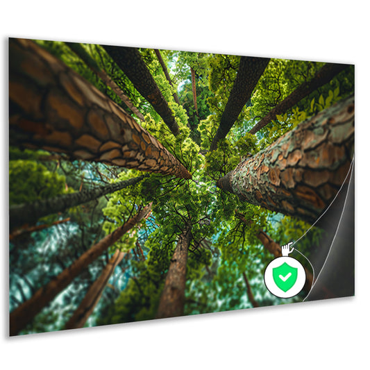 Hoog perspectief op bomen in weelderig bosposter