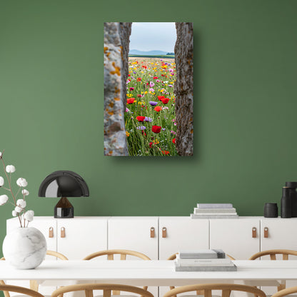 Kleurrijke Bloemenweide tussen Oude Bomen canvas