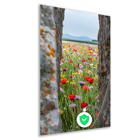 Kleurrijke Bloemenweide tussen Oude Bomen poster