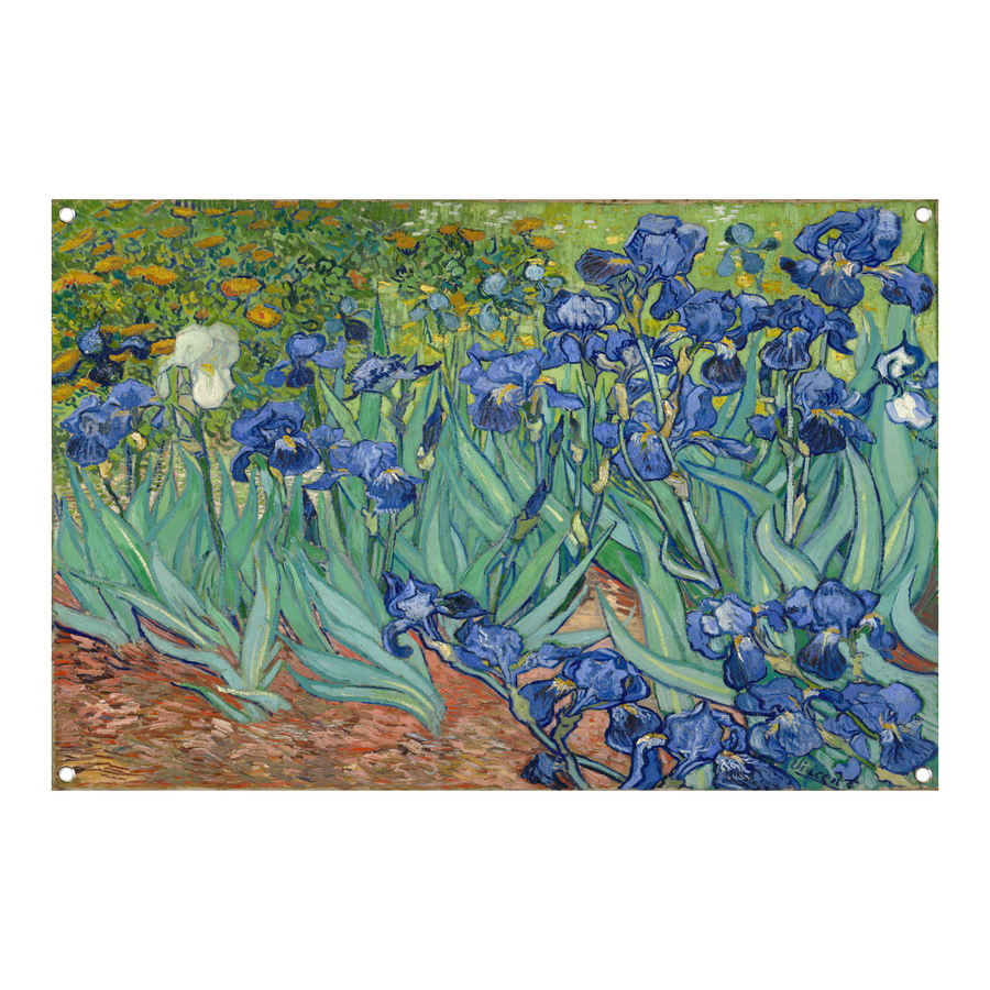 Irissen - Vincent van Gogh tuinposter