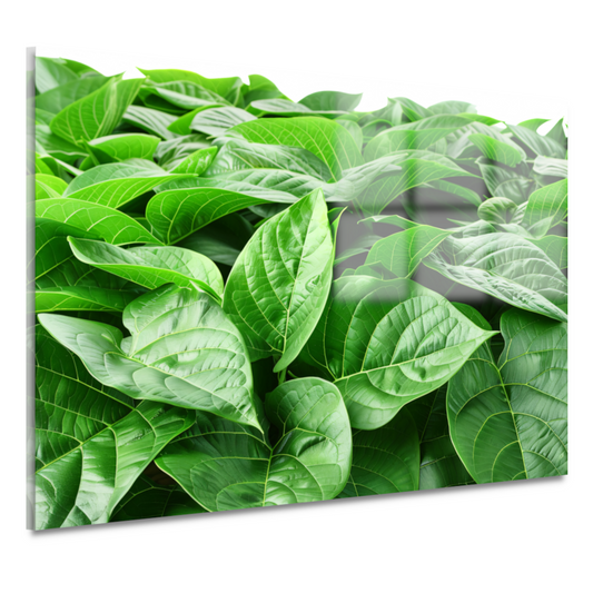 Bladergroen acrylglas