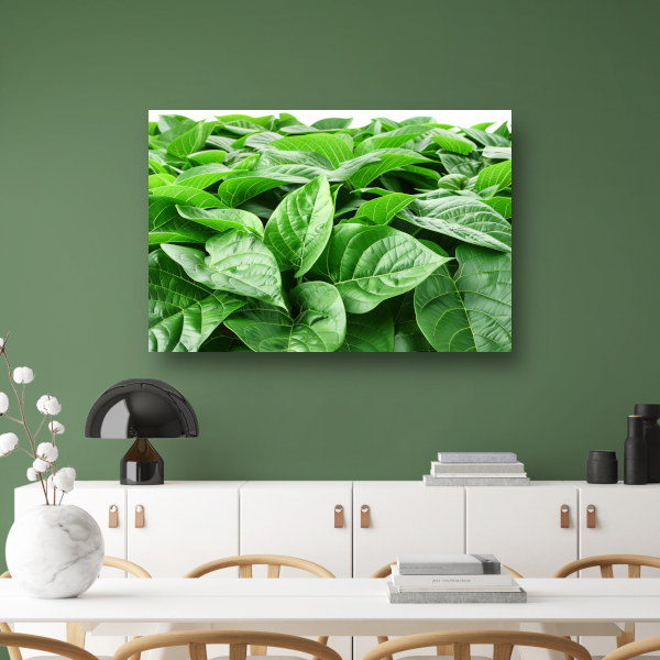 Bladergroen canvas