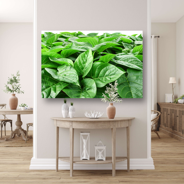 Bladergroen canvas