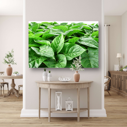 Bladergroen canvas