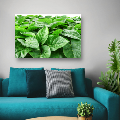 Bladergroen canvas