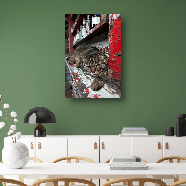 Slapende gestreepte kat op houten toonbank canvas