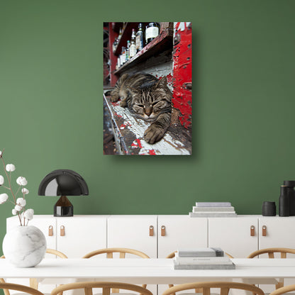 Slapende gestreepte kat op houten toonbank canvas