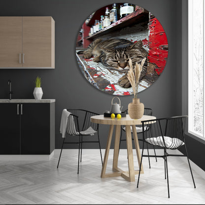 Slapende gestreepte kat op houten toonbank aluminium muurcirkel