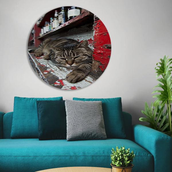 Slapende gestreepte kat op houten toonbank aluminium muurcirkel