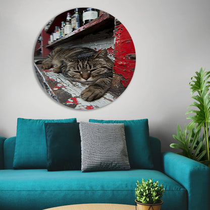 Slapende gestreepte kat op houten toonbank aluminium muurcirkel