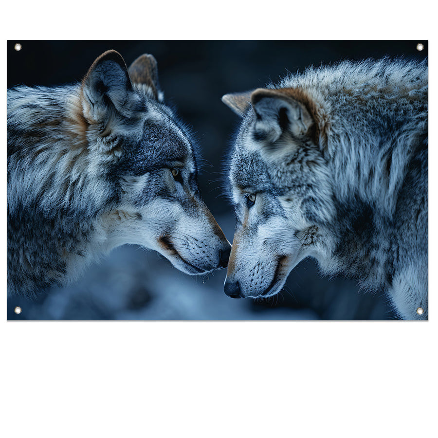 Twee wolven in een donkere omgeving tuinposter