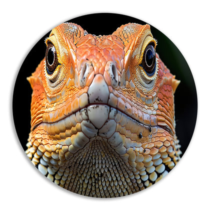 Intrigerende reptielenblik. aluminium muurcirkel