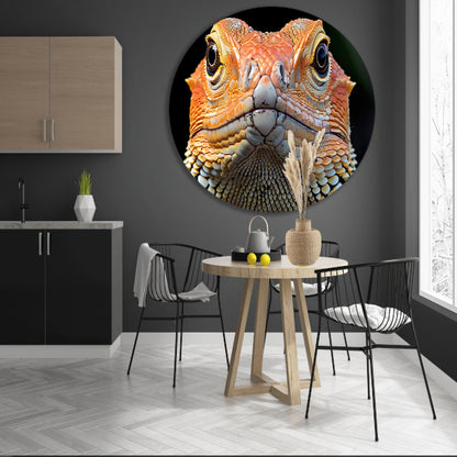 Intrigerende reptielenblik. aluminium muurcirkel