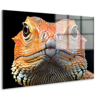 Intrigerende reptielenblik. acrylglas