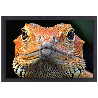 Intrigerende reptielenblik. canvas met baklijst