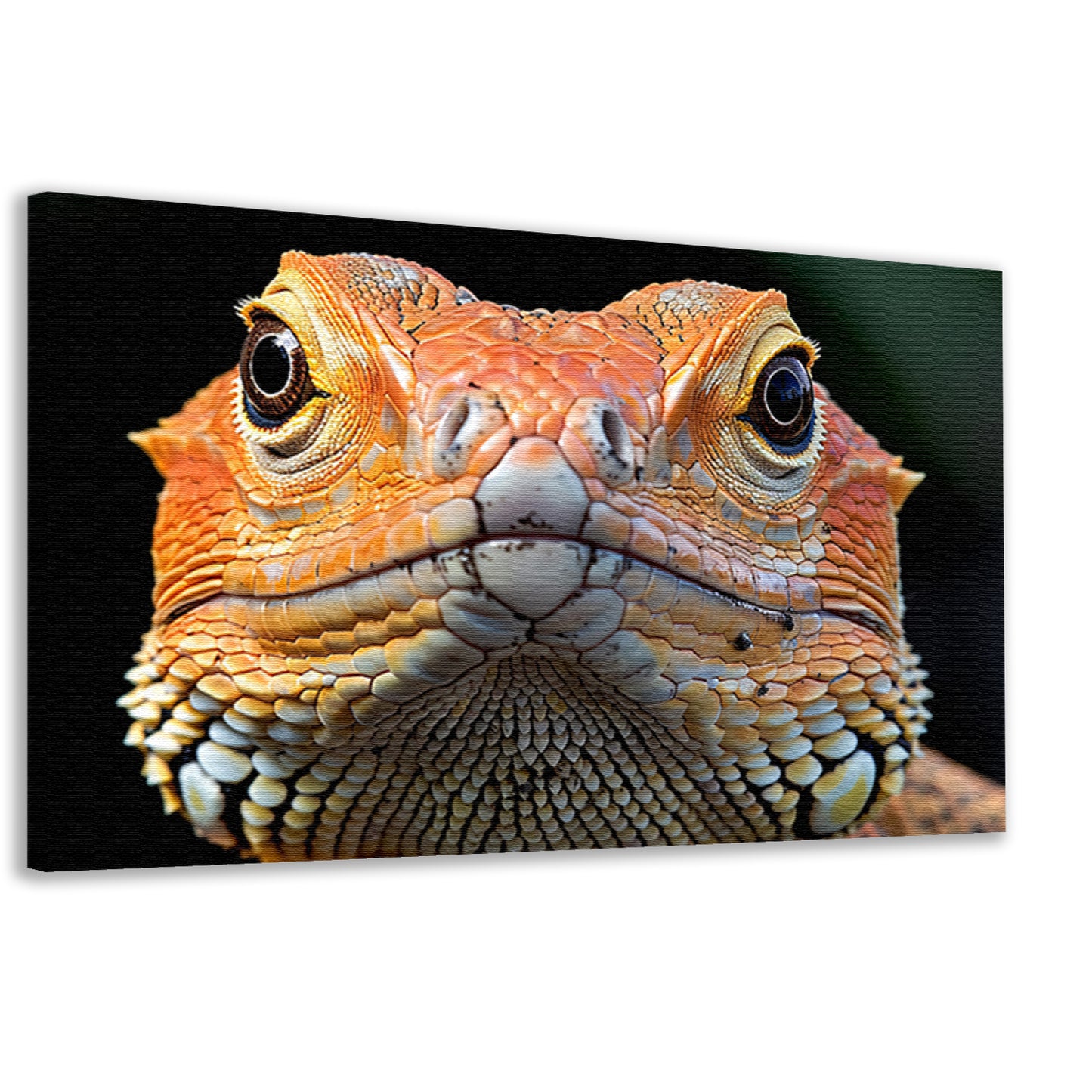 Intrigerende reptielenblik. canvas