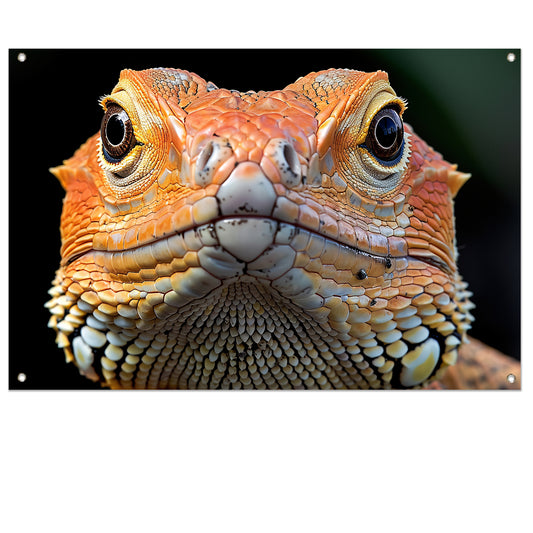 Intrigerende reptielenblik. tuinposter