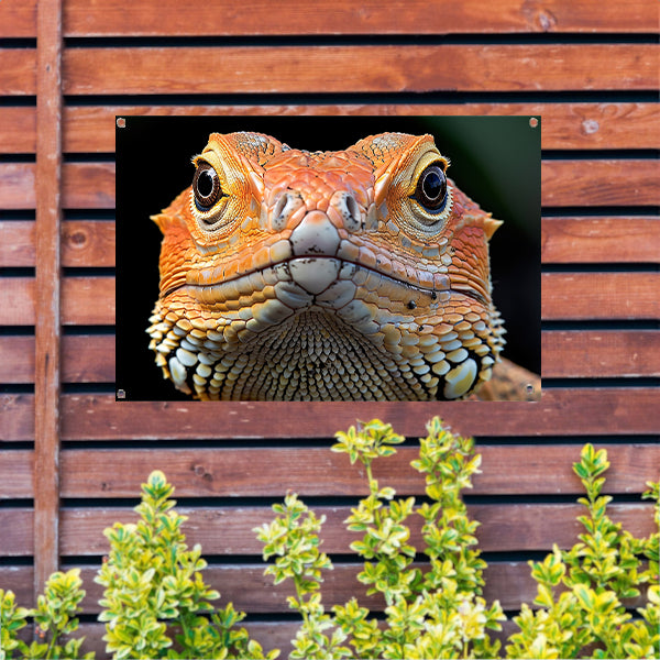 Intrigerende reptielenblik. tuinposter