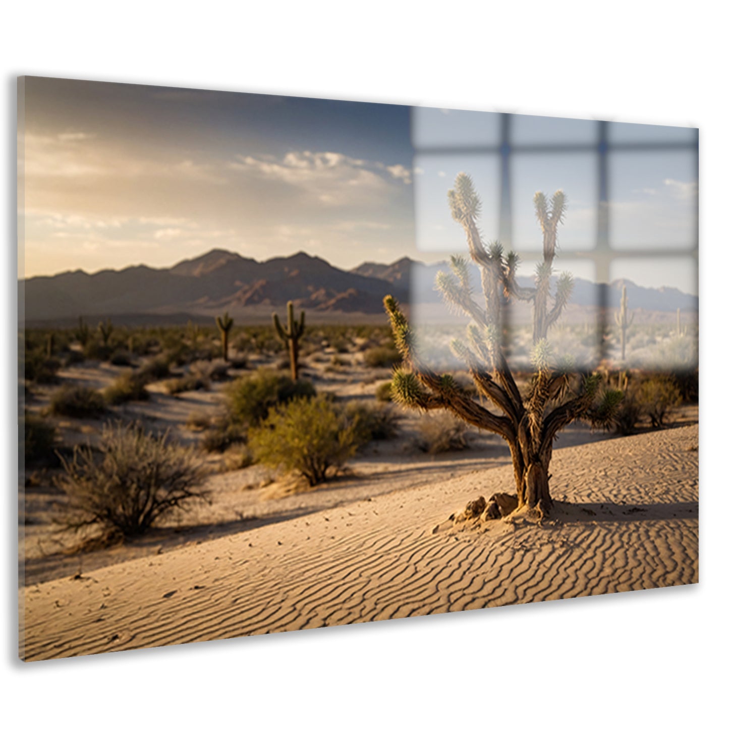 Woestijnlandschap bij zonsondergang met bergen acrylglas