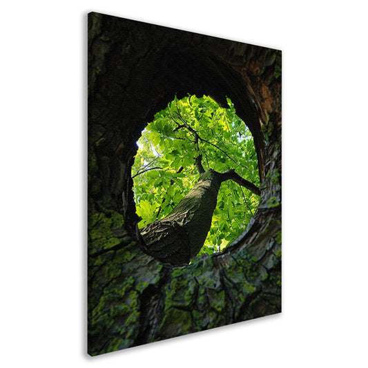 Boom gezien door een gat in de schors canvas