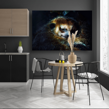 Meerkat rust zacht in het gouden licht canvas