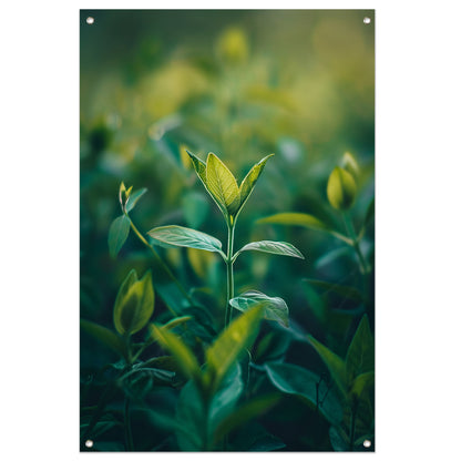 Close-up van een Groeiende Plant in Natuurlijk Licht tuinposter