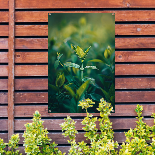 Close-up van een Groeiende Plant in Natuurlijk Licht tuinposter