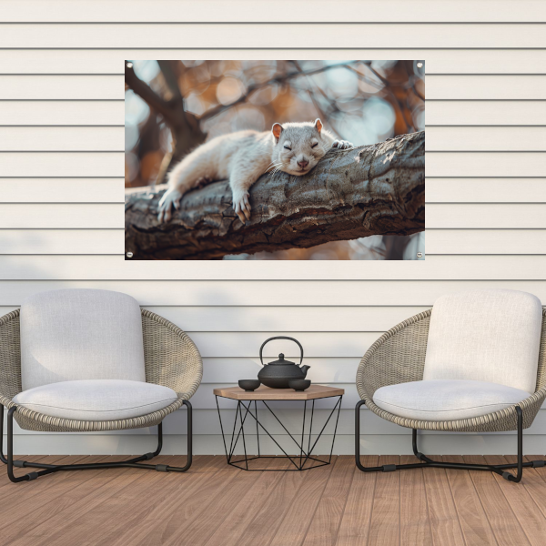Eekhoorn rustend op herfsttak tuinposter