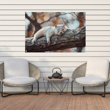 Eekhoorn rustend op herfsttak tuinposter