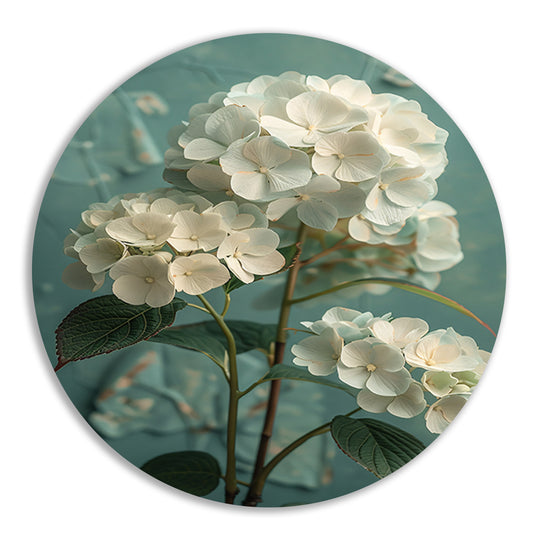 Witte Hortensia Bloemen in Turquoise Vaas forex muurcirkel